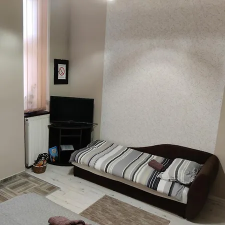 Apartments Borovo Subotica Rum bild